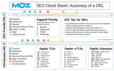SEO analyzer linking on page